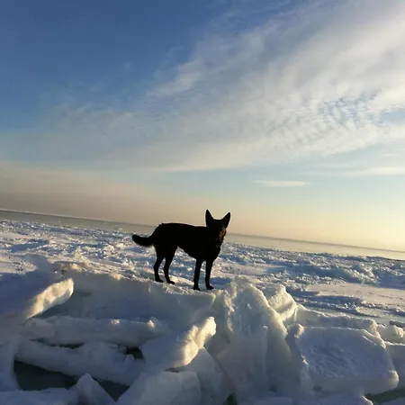 Apartment Moderne Kurparkresidenz Timmendorfer Strand
