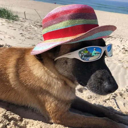 Apartment Moderne Kurparkresidenz