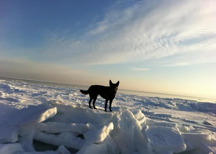 Lägenhet Moderne Kurparkresidenz Timmendorfer Strand