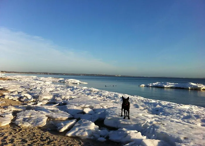 Moderne Kurparkresidenz Lägenhet *