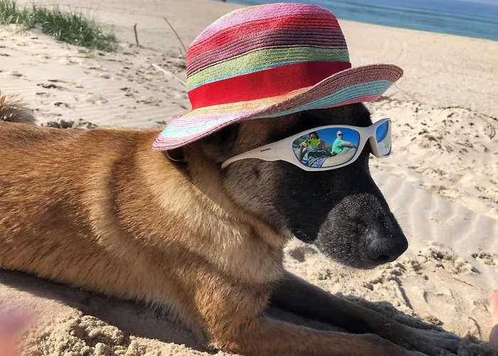 Διαμέρισμα Moderne Kurparkresidenz