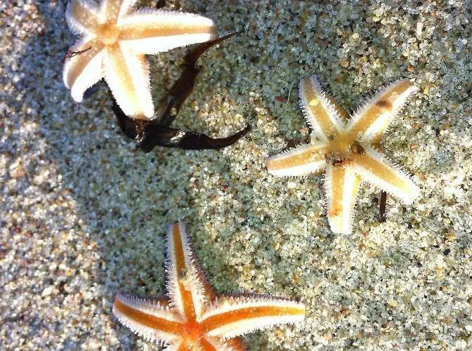 Moderne Kurparkresidenz