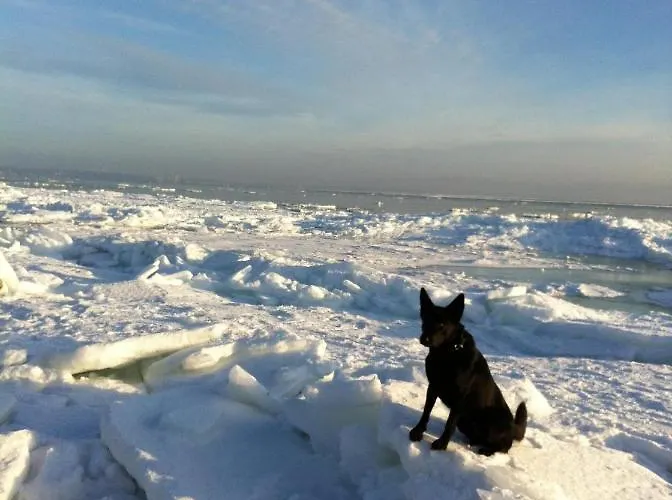 Moderne Kurparkresidenz